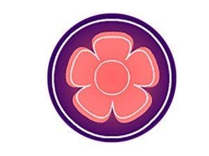 Artifact Interactive Garden Planner Crack