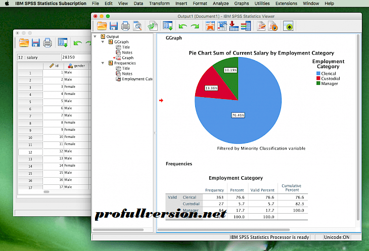 IBM SPSS Statistics License Code